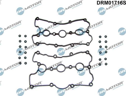 Lizarte DRM01716S - Set garnituri, Capac supape aaoparts.ro