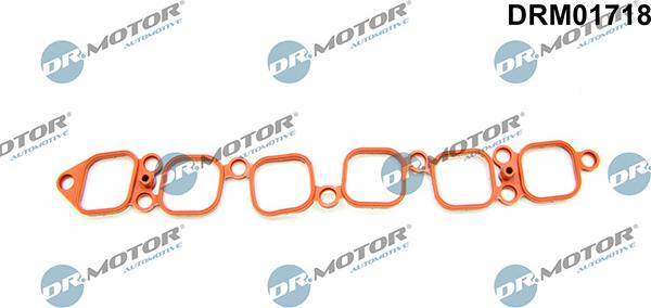 Lizarte DRM01718 - Garnitura, galerie admisie aaoparts.ro