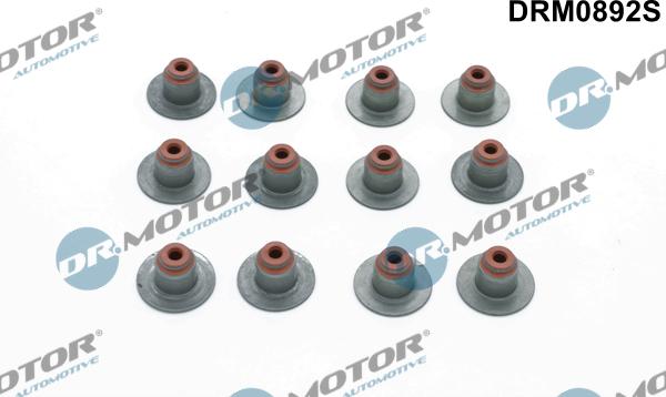 Lizarte DRM0892S - Etansare, supape aaoparts.ro