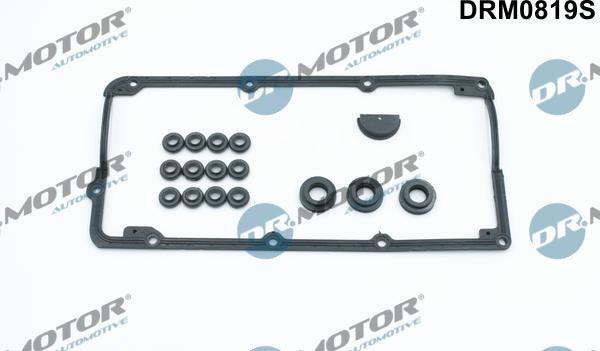 Lizarte DRM0819S - Set garnituri, Capac supape aaoparts.ro