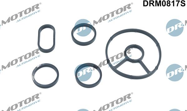 Lizarte DRM0817S - Set garnituri, radiator ulei aaoparts.ro