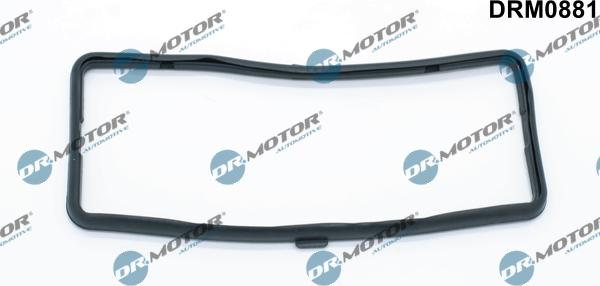 Lizarte DRM0881 - Garnitura, capac supape aaoparts.ro