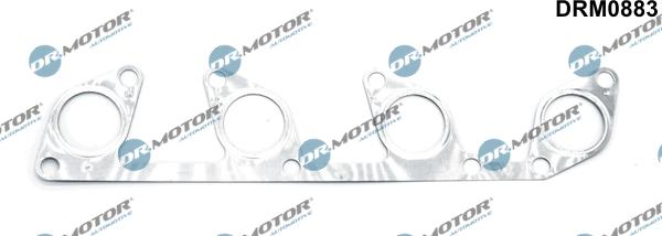 Lizarte DRM0883 - Garnitura, galerie evacuare aaoparts.ro