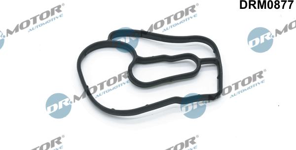 Lizarte DRM0877 - Garnituri, carcasa filtru ulei aaoparts.ro