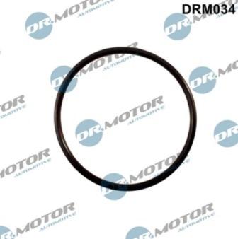 Lizarte DRM034 - Garnitura, galerie admisie aaoparts.ro