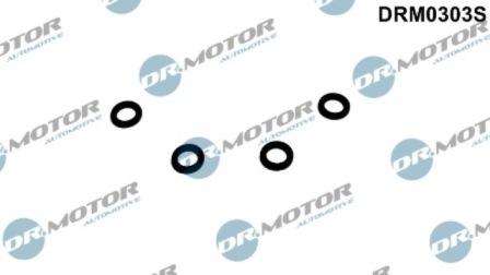 Lizarte DRM0303S - Clapeta de inchidere,supracurgere combustibil aaoparts.ro