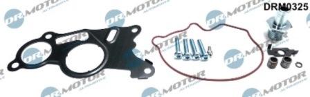 Lizarte DRM0325 - Set reparatie, pompa vacuum (Siste frana) aaoparts.ro