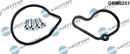 Lizarte DRM0251 - Set reparatie, pompa vacuum (Siste frana) aaoparts.ro