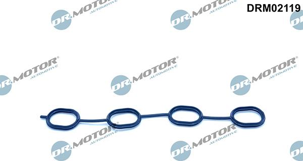 Lizarte DRM02119 - Garnitura, galerie admisie aaoparts.ro