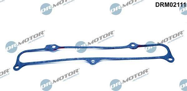 Lizarte DRM02111 - Garnitura, galerie admisie aaoparts.ro