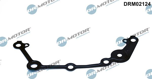 Lizarte DRM02124 - Garnitura, distributie aaoparts.ro