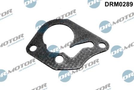 Lizarte DRM0289 - Garnitura, pompa vacuum aaoparts.ro