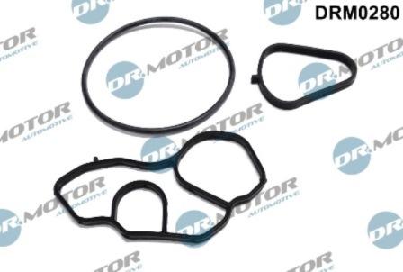 Lizarte DRM0280 - Set garnituri, radiator ulei aaoparts.ro