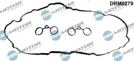 Lizarte DRM0279 - Set garnituri, Capac supape aaoparts.ro