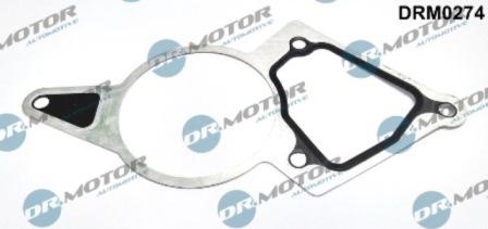 Lizarte DRM0274 - Garnitura, pompa vacuum aaoparts.ro