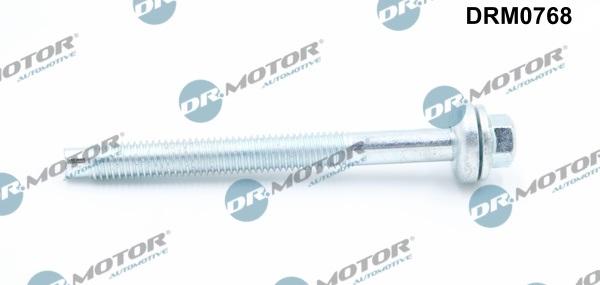Lizarte DRM0768 - Surub, suport injector aaoparts.ro