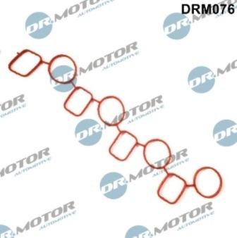 Lizarte DRM076 - Garnitura, galerie admisie aaoparts.ro