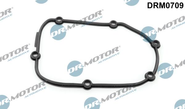 Lizarte DRM0709 - Garnitura, distributie aaoparts.ro