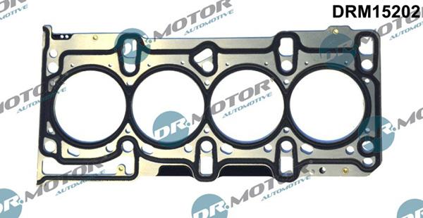 Lizarte DRM15202 - Garnitura, chiulasa aaoparts.ro