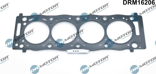 Lizarte DRM16206 - Garnitura, chiulasa aaoparts.ro