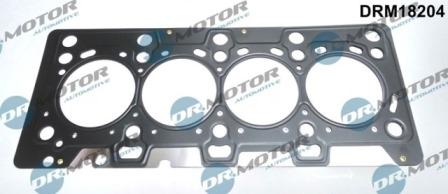 Lizarte DRM18204 - Garnitura, chiulasa aaoparts.ro