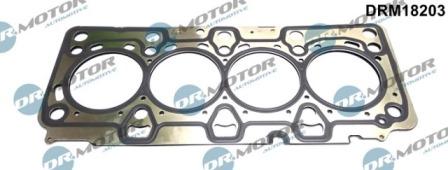 Lizarte DRM18203 - Garnitura, chiulasa aaoparts.ro