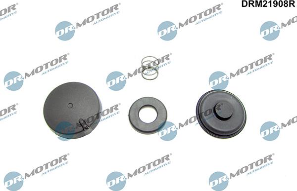 Lizarte DRM21908R - Control, clapeta acceleratie aaoparts.ro