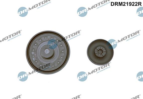 Lizarte DRM21922R - Membrana, aerisire carcasa arbore cotit aaoparts.ro