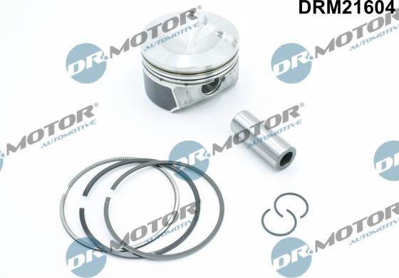 Lizarte DRM21604 - Piston aaoparts.ro