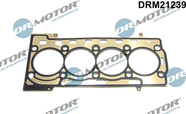Lizarte DRM21239 - Garnitura, chiulasa aaoparts.ro