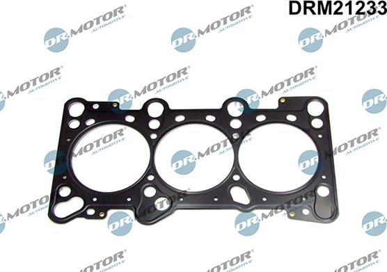 Lizarte DRM21233 - Garnitura, chiulasa aaoparts.ro