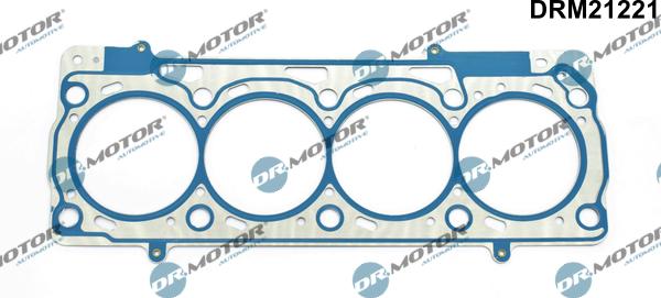 Lizarte DRM21221 - Garnitura, chiulasa aaoparts.ro