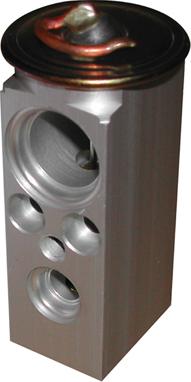 Lizarte VAL009 - Supapa expansiune, clima aaoparts.ro