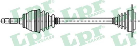 LPR DS51067 - Planetara aaoparts.ro