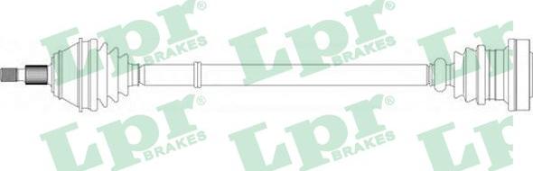 LPR DS51080 - Planetara aaoparts.ro