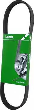 Lucas Engine Drive 4PK0850L - Curea transmisie cu caneluri aaoparts.ro