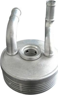 Magneti Marelli 359001601560 - Radiator racire ulei, cutie de viteze automata aaoparts.ro