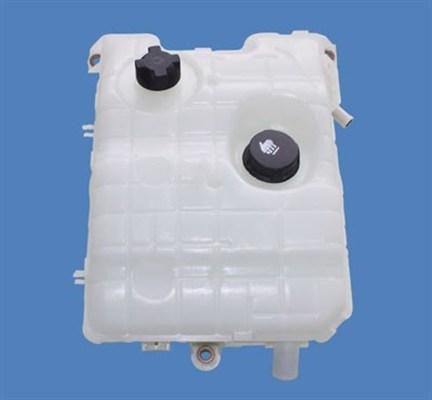 Magneti Marelli 359001601180 - Vas de expansiune, racire aaoparts.ro