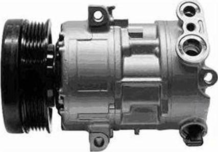 Magneti Marelli 359002000400 - Compresor, climatizare aaoparts.ro