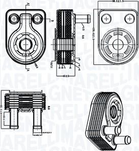 Magneti Marelli 350300005500 - Radiator ulei, ulei motor aaoparts.ro