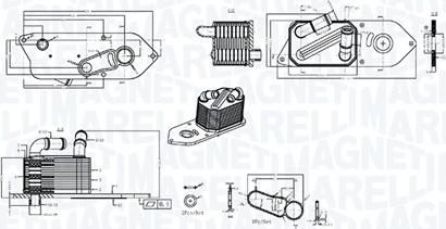 Magneti Marelli 350300006800 - Radiator ulei, ulei motor aaoparts.ro