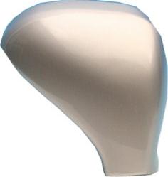 Magneti Marelli 351991205810 - Acoperire oglinda exterioara aaoparts.ro
