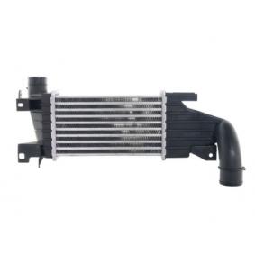 Magneti Marelli 351319200483 - Intercooler, compresor aaoparts.ro