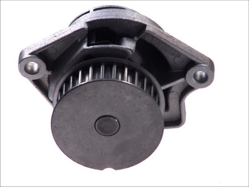 Magneti Marelli 352316171175 - Pompa apa aaoparts.ro