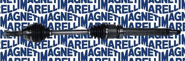 Magneti Marelli 302004190058 - Planetara aaoparts.ro