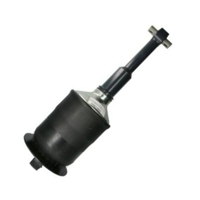 Magnum Technology M0165 - Amortizor aaoparts.ro