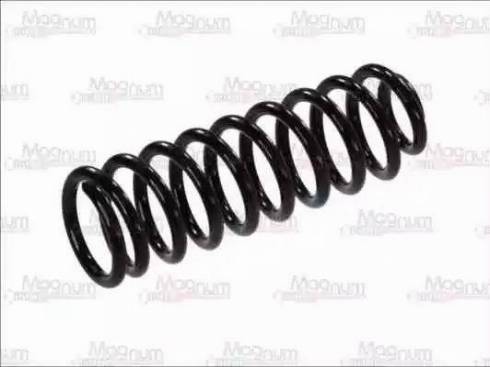 Magnum Technology SW068 - Arc spiral aaoparts.ro