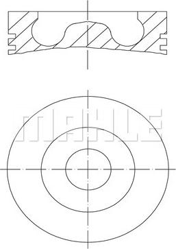 MAHLE 016 07 00 - Piston aaoparts.ro