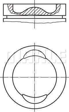 MAHLE 029 74 00 - Piston aaoparts.ro