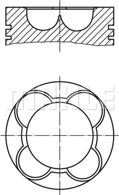 MAHLE 227 PI 00141 000 - Piston aaoparts.ro